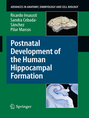 cover image of Postnatal Development of the Human Hippocampal Formation